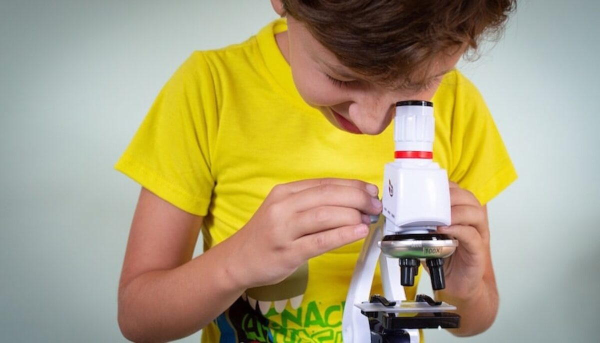 Montpellier : une fête de la science passionnante, du 1er au 11 octobre -  Hérault Tribune