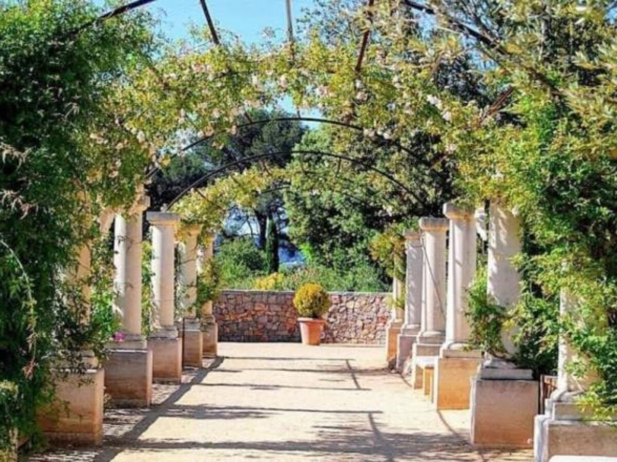 Les 900 plantes de jardin à connaître