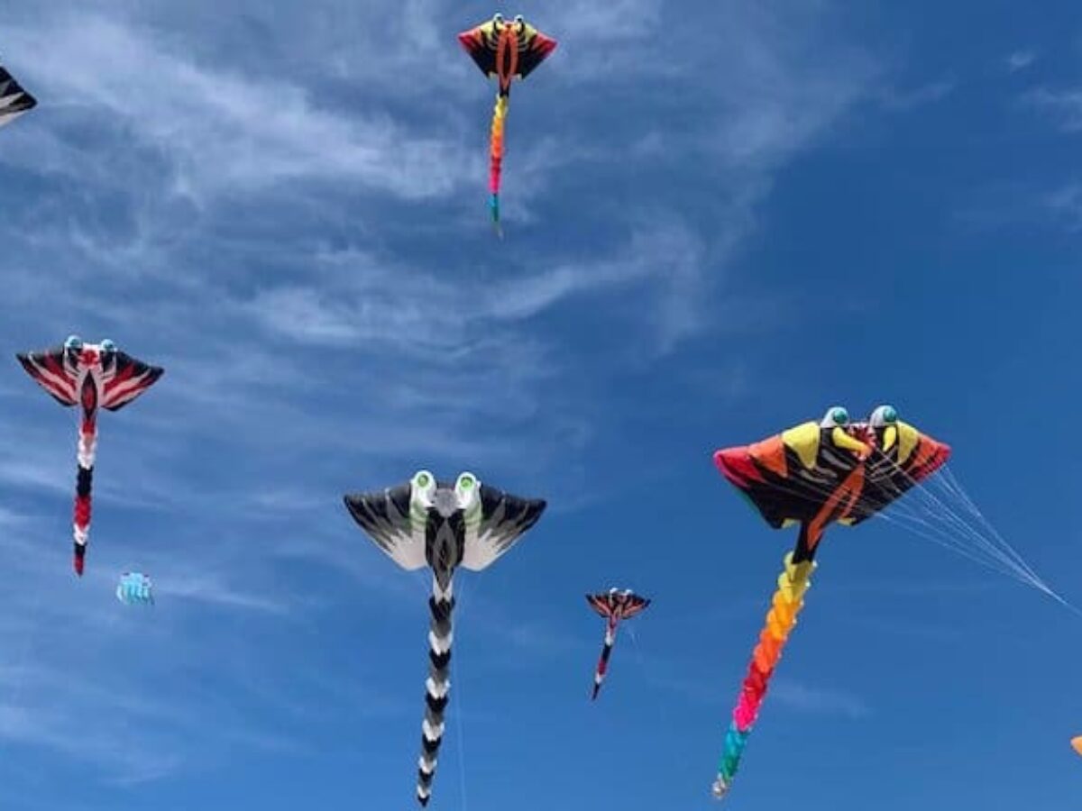 Chorégraphies, vols synchronisés les pros du cerf-volant ont