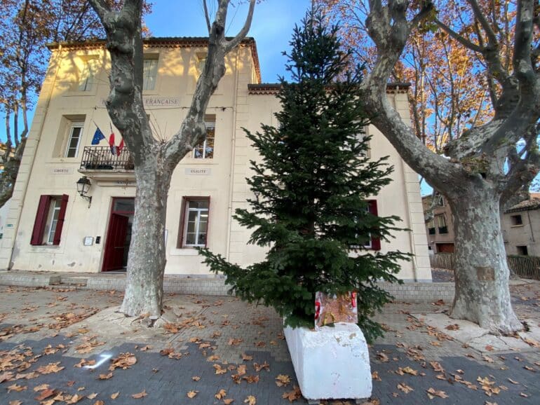 sapin saint thibery