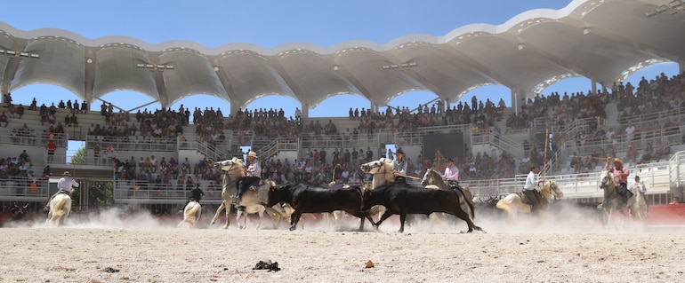 Traditions camarguaises à Lunel © Ville de Lunel