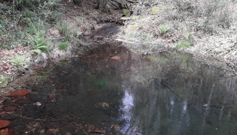 Une mare dans les Monts dOrb.