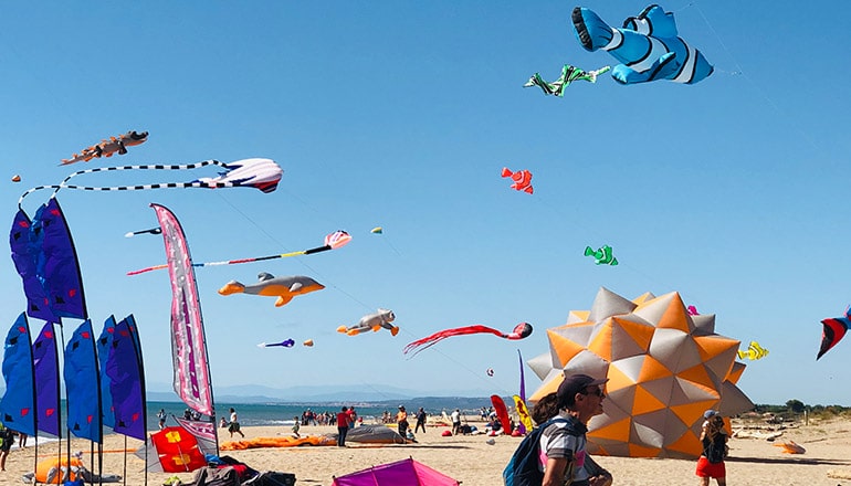 The Wind Festival partners with Les Sentinelles de la Mer Occitanie for a Coastal Discovery and Participatory Science Experience