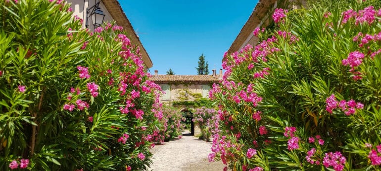 Villeneuvette ©E.Brendle Hérault Tourisme 1