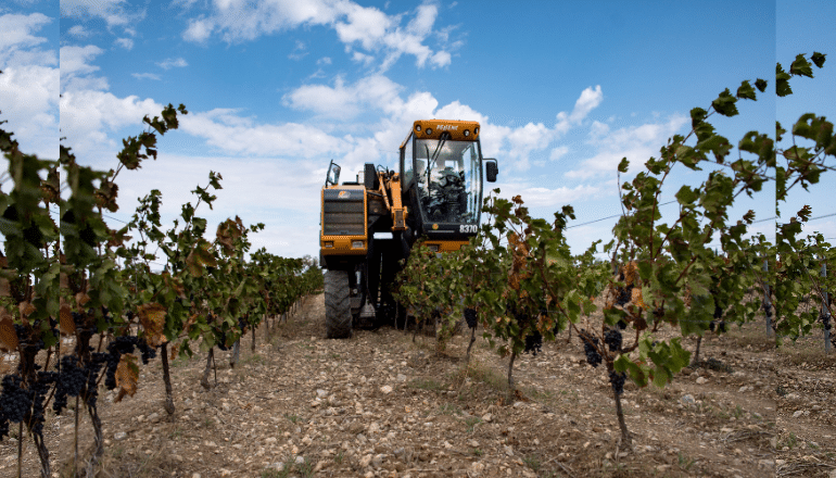 Une machine à vendanger dans un vignoble à Leucate, le 23 septembre 2024 © Matthieu Rondel / AFP.