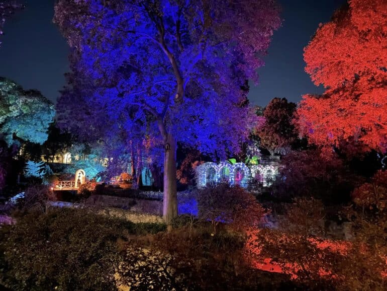 Coeur de Ville en Lumières à Montpellier ©LB