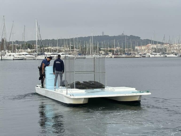 Immersion de bouteilles de vin dans le port du Cap d'Agde ©EG